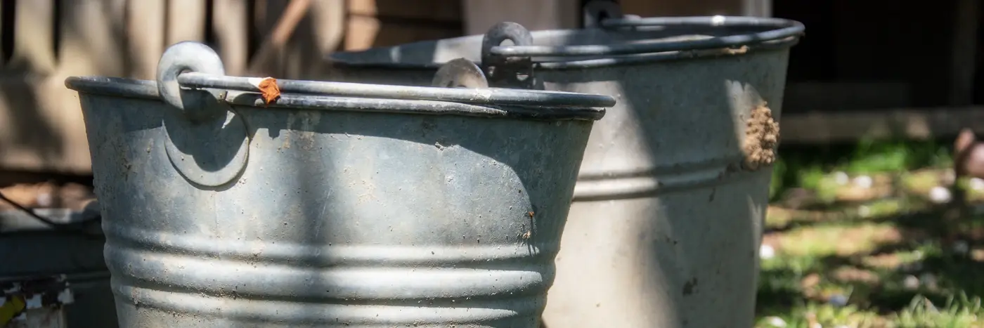 Malkespande i græsset ved siden af staldbygning