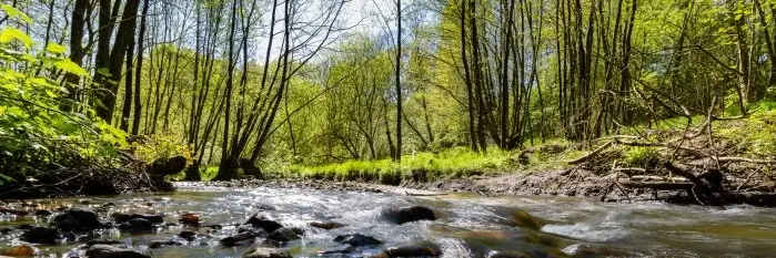 Tørskind Bakker i Vejle Ådal Tørskind Bakker i Vejle Ådal