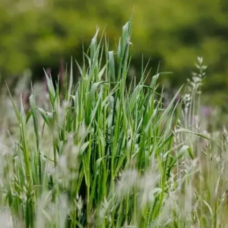 Stort billede af Sammen har vi har reddet 18.000 m2 dansk natur