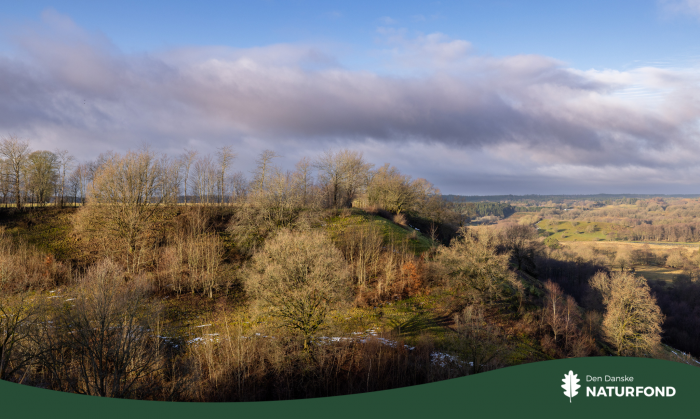 Forårets bedste nyhed: Mere vild natur i Vejle Ådal
