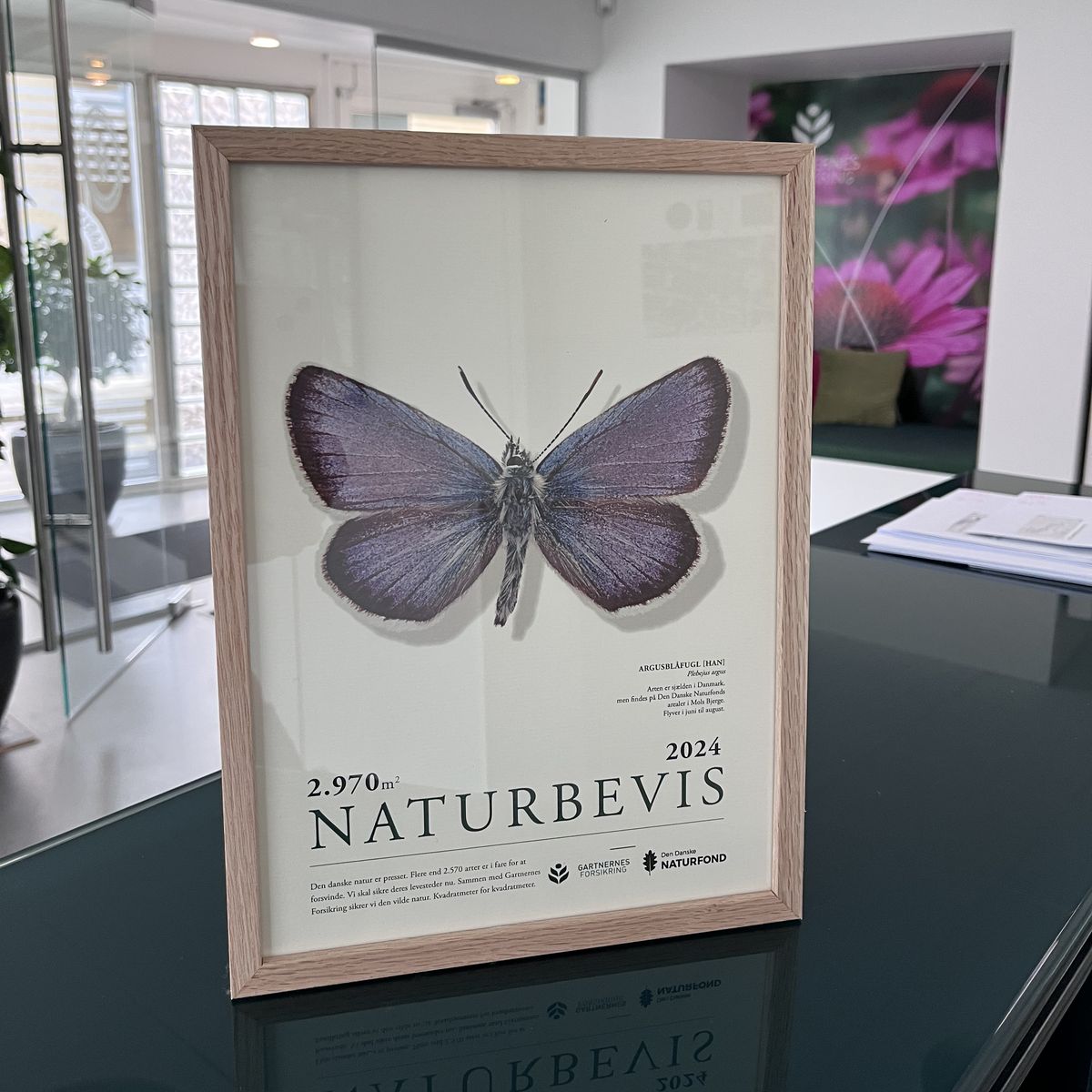 Naturbevis - 2970 m2