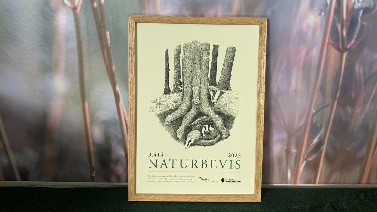 Spira Forsikrings naturbevis fra Naturfonden 2025