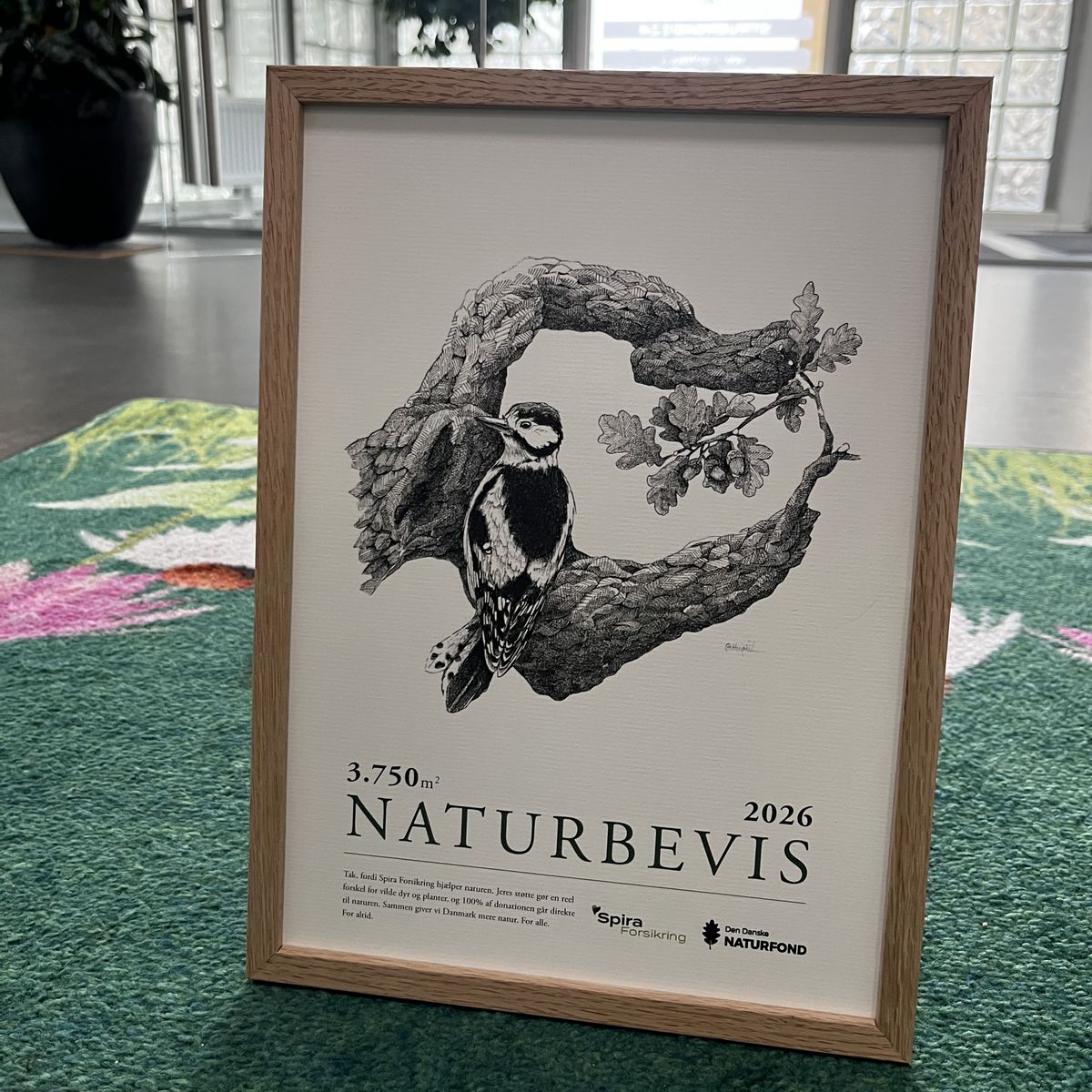 Spira Forsikrings naturbevis 2026 fra Naturfonden