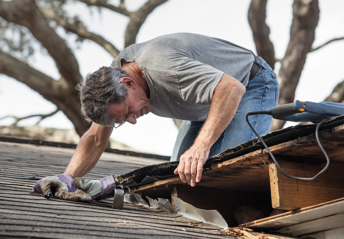 Tjek hus og bygninger for svagheder