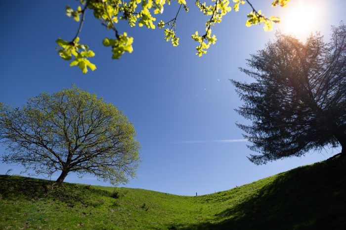 Tørskind Bakker i Vejle Ådal.