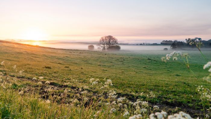 100 hektar vild natur er nu sikret for evigt i Store Åmose