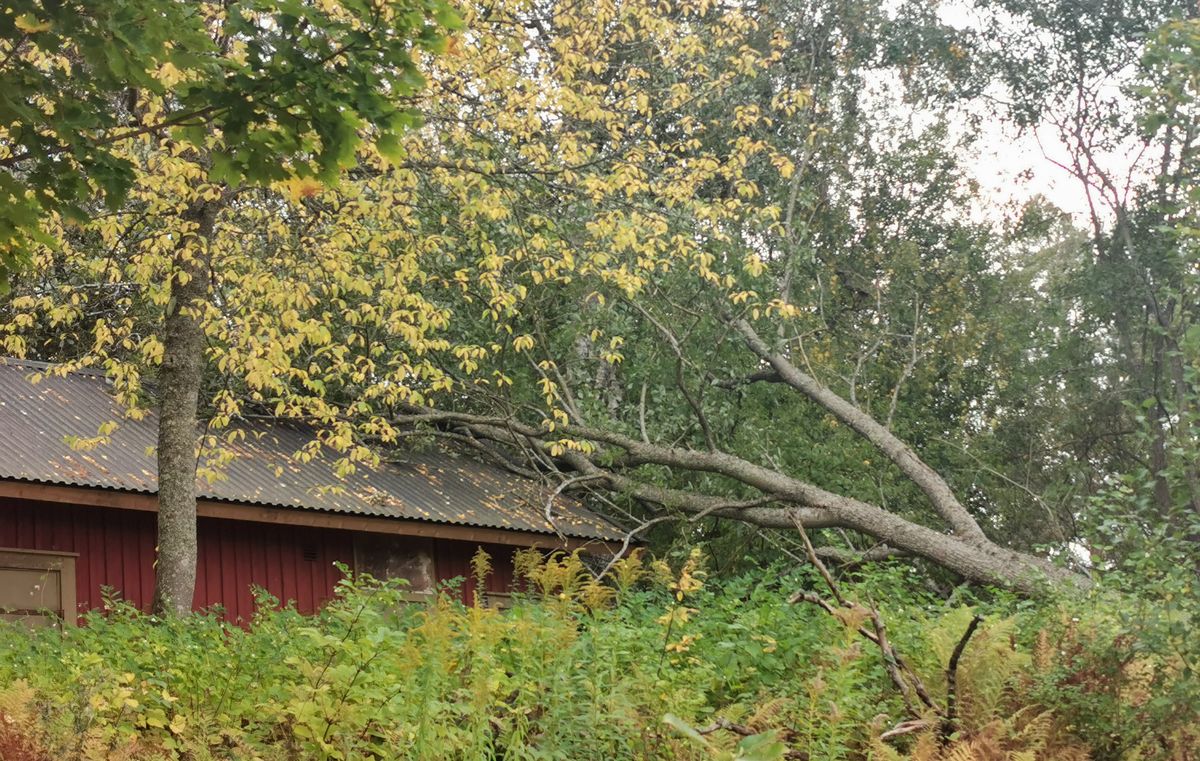 Stormskade på hus Forebyg stormskader på dit hus og dine bygninger