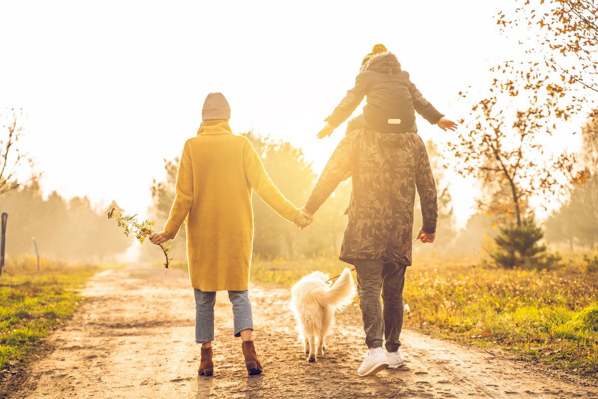 gåtur med hund efterår Pas godt på dig selv og din hund i mørket - 5 gode råd