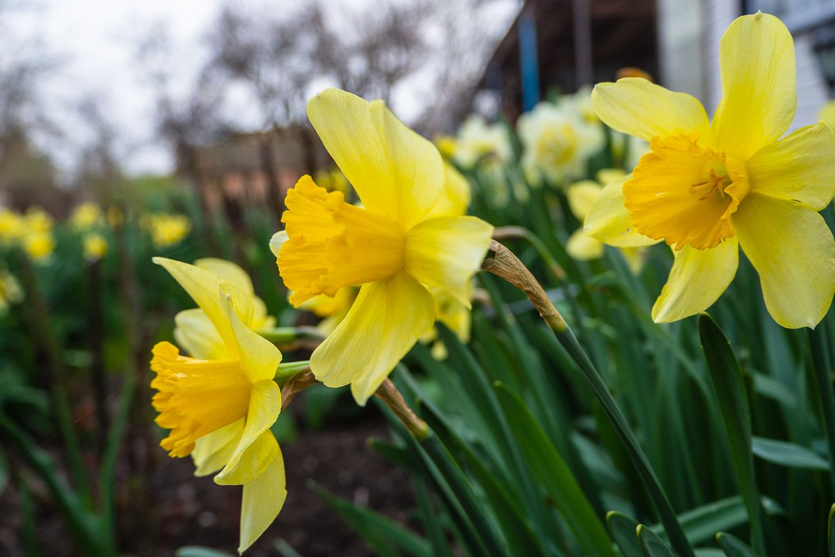 Indbrudstyvene er tilbage: Sådan snyder du påsketyven