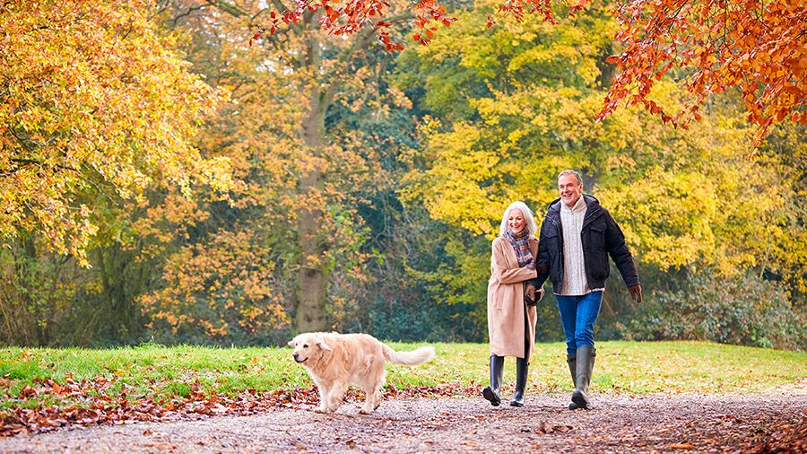 Ulykkesforsikring, når du ikke længere arbejder