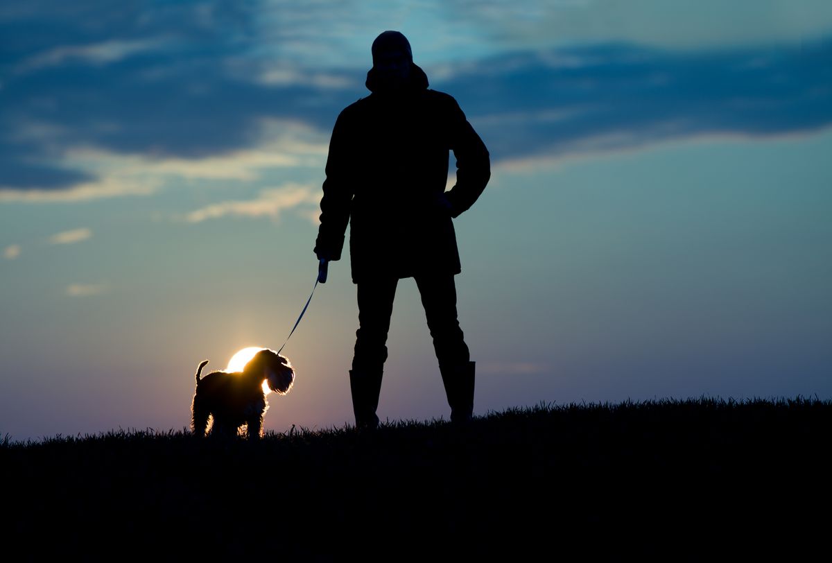 hund sikker i mørket Er du og din hund sikre i mørket?