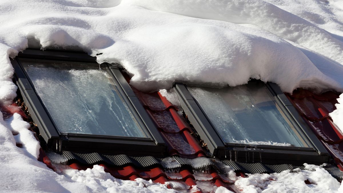 Tjek dit loft for fygesne og undgå fugtskader